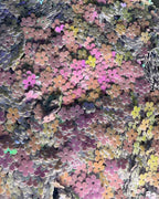 baby purple flower sequins